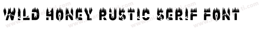 Wild Honey Rustic Serif Font字体转换